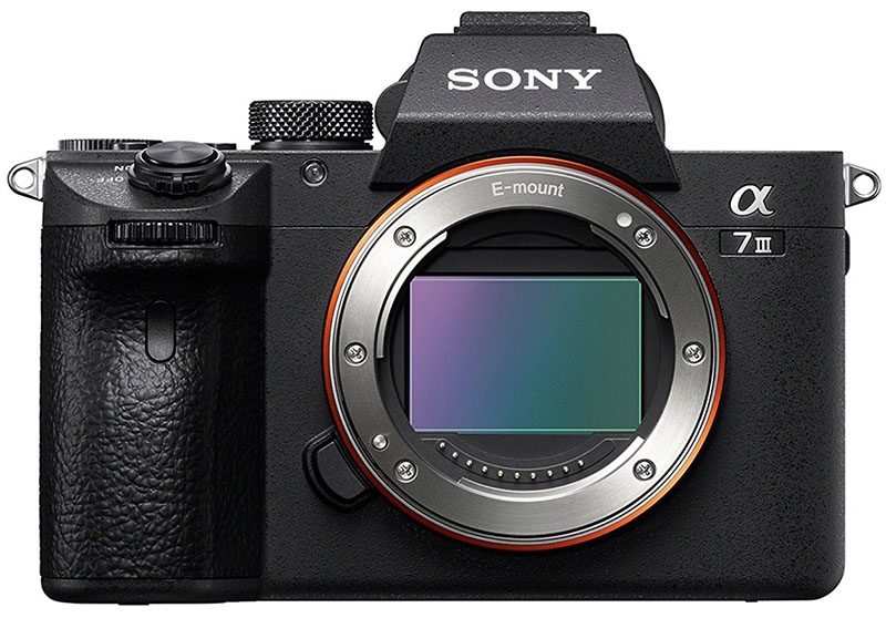 Sony Alpha a7R III full frame camera